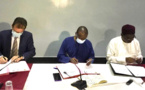Tchad : 293 milliards Fcfa pour le plus grand projet sucrier de l’Afrique francophone