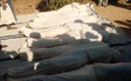 Tchad : La CTDDH dénonce le massacre de Tchawtchaw, dans le Wadi Fira