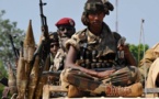 Mali : Les troupes Tchadiennes en première ligne dans le massif de l'Adrar des Ifoghas