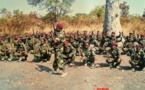 Centrafrique : Les premières sorties médiatiques des Forces Révolutionnaires