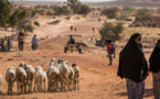 Niger : 10.600 déplacés suite aux récentes attaques dans la zone des "trois frontières"