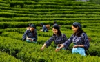 China cuts taxes and administrative fees by over 2.5 trillion yuan in 2020