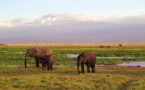 Climat : les pays d’Afrique de l’Ouest appuyés pour la réduction des émissions de carbone