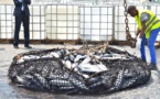Gabon : L’Union européenne accorde 17 milliards de FCFA pour la promotion de la pêche