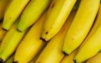 Pénurie de bananes à Dakar : la Côte d'Ivoire vole au secours du Sénégal