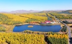 China's forest carbon reserve hits 9.2 billion tonnes