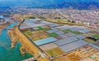 Ecological poverty-relief programs in China help increase income for rural residents 