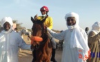 Tchad : "La caravane des éleveurs" lance une compétition hippique