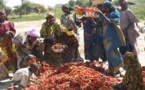 Bassin du Lac Tchad : La BAD s’engage pour l’autonomisation des femmes au Sahel