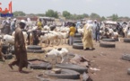 Tchad : Les horaires d’abattage des animaux réglementés dans la ville de N’Djamena
