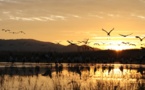 Bird rangers help improve ecology of local nature reserve in SW China