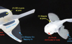 Milestone achievement in soft robotics of Chinese research team published on Nature as cover story