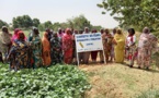Tchad : des femmes à l'œuvre pour la survie de leur coopérative au Ouaddaï