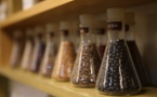 Le marché de la médecine traditionnelle chinoise s'élargit avec l'approbation accordée par le Kenya