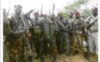 RCA : Plusieurs mouvements forment l'Alliance Africaine Anti-Jihadiste (officiel)