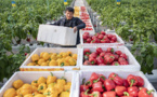 Green consumption comes into fashion in China