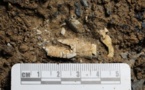 Over 500 relics found in prehistoric Sanxingdui Ruins in SW China