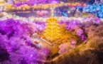 China's tourism sector embraces continuous recovery