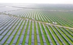 Digitalization, AI and cybersecurity will be the key trends in smart PV industry and China’s journey to achieve carbon peak, neutrality: Huawei report