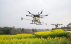 Internet Plus model drives rural vitalization in China in all-round way