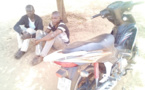 Tchad : deux présumés voleurs faisant usage de mysticisme arrêtés à Pala