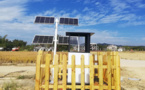 Information technology gives a leg up to China’s spring farming