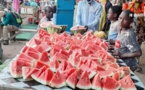 N’Djamena : la pastèque, l'un des fruits les plus consommés en période de Ramadan