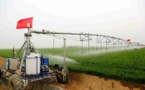 Crop seed company in E China’s Shandong province devoted to breeding high-quality seeds to benefit farmers