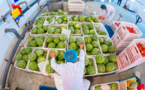 Better cold chain logistics facilities bring benefits to consumers and sellers of fresh food in China
