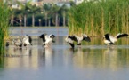 Yunnan gears up for biodiversity protection