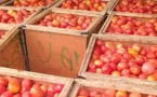 Tchad : La consommation de la tomate en temps de chaleur