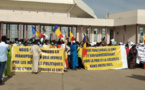 "Tchad en marche" appelle à "transcender les clivages"
