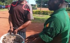 Cameroun : un homme interpellé avec 60 kg d'écailles de pangolin à Dimako