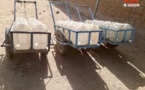 Tchad : accès à l'eau à Abéché ; les ménages et les animaux en pâtissent