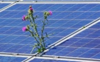 Transitions énergétiques : des perspectives de croissance pour l'économie mondiale
