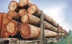 Togo : signature d’un accord d’importation des produits du bois gabonais