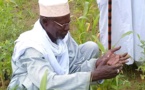 Tchad : le sultan du Sila sera inhumé vendredi à Goz Beida