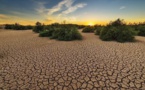 Changement climatique : l’engagement de la société civile africaine face au Covid-19