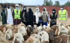 Tchad : Zilloul Arch distribue des moutons aux vulnérables à l'approche de l'AÏd Al Adha