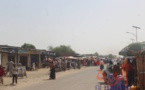 Tchad : vecteurs de maladies, les moustiques et mouches sont envahissantes à N'Djamena