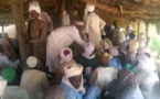 Tchad : le prix de la dot est désormais encadré dans une sous-préfecture du Guera
