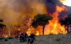 Algérie : des incendies meurtriers embrasent la Kabylie