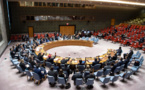 Sahel : le conseil de sécurité de l'ONU préoccupé par la détérioration sécuritaire