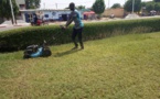Tchad : fleuriste, un métier qui nourrit bien son homme
