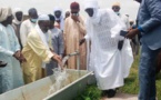Tchad : le marché à bétail d'Oyo inauguré au Guera