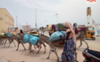 Tchad : la vente du charbon de bois au vu et au su de tous à l'Est
