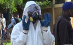 Tchad : la mairie de N'Djamena annonce la phase de fumigation contre les moustiques