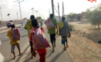 Enfants talibés au Tchad : "c'est une bombe à retardement"