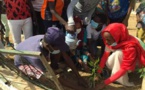 Tchad : les jeunes du 4e arrondissement de N'Djamena engagés pour la salubrité