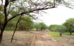 Tchad : atroce assassinat au Sila, un homme a tué son ex-femme à Bechaketek